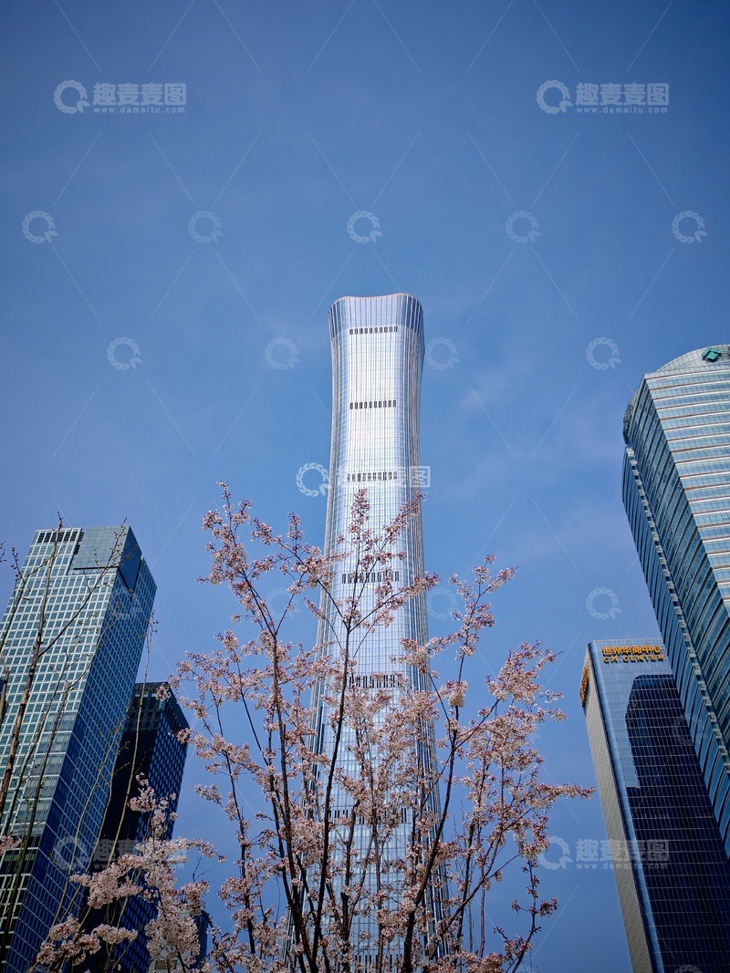 高清大图下载【趣麦麦图】现代都市樱花美景