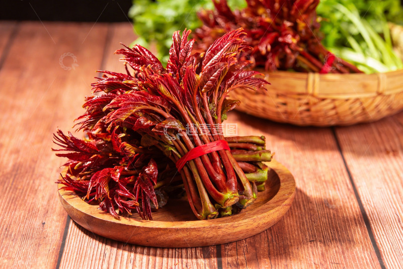 高清大图下载【趣麦麦图】香椿 红香椿 红油香椿6