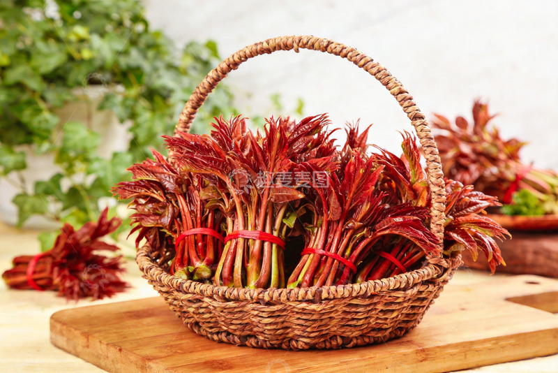 高清大图下载【趣麦麦图】香椿 红香椿 红油香椿8