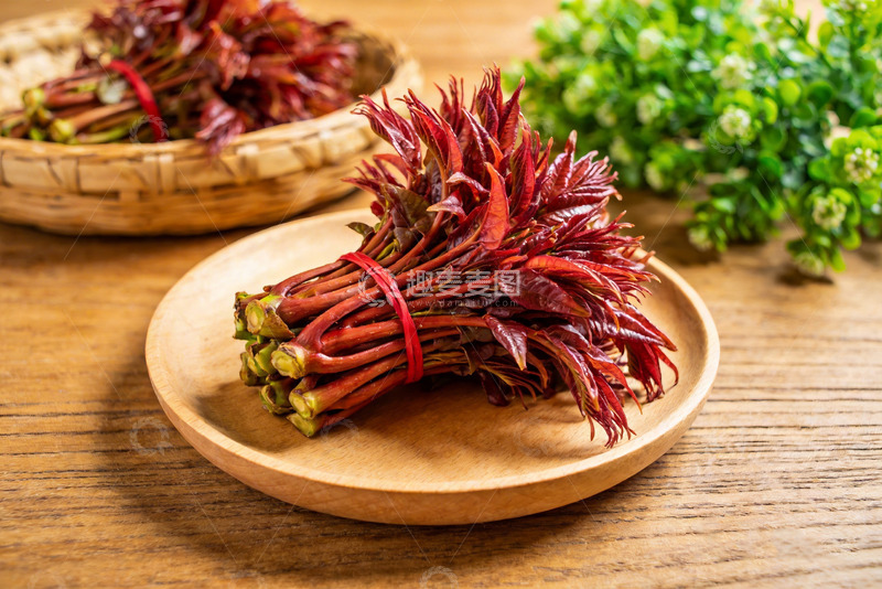 高清大图下载【趣麦麦图】香椿 红香椿 红油香椿9