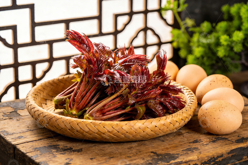 高清大图下载【趣麦麦图】香椿 红香椿 红油香椿3