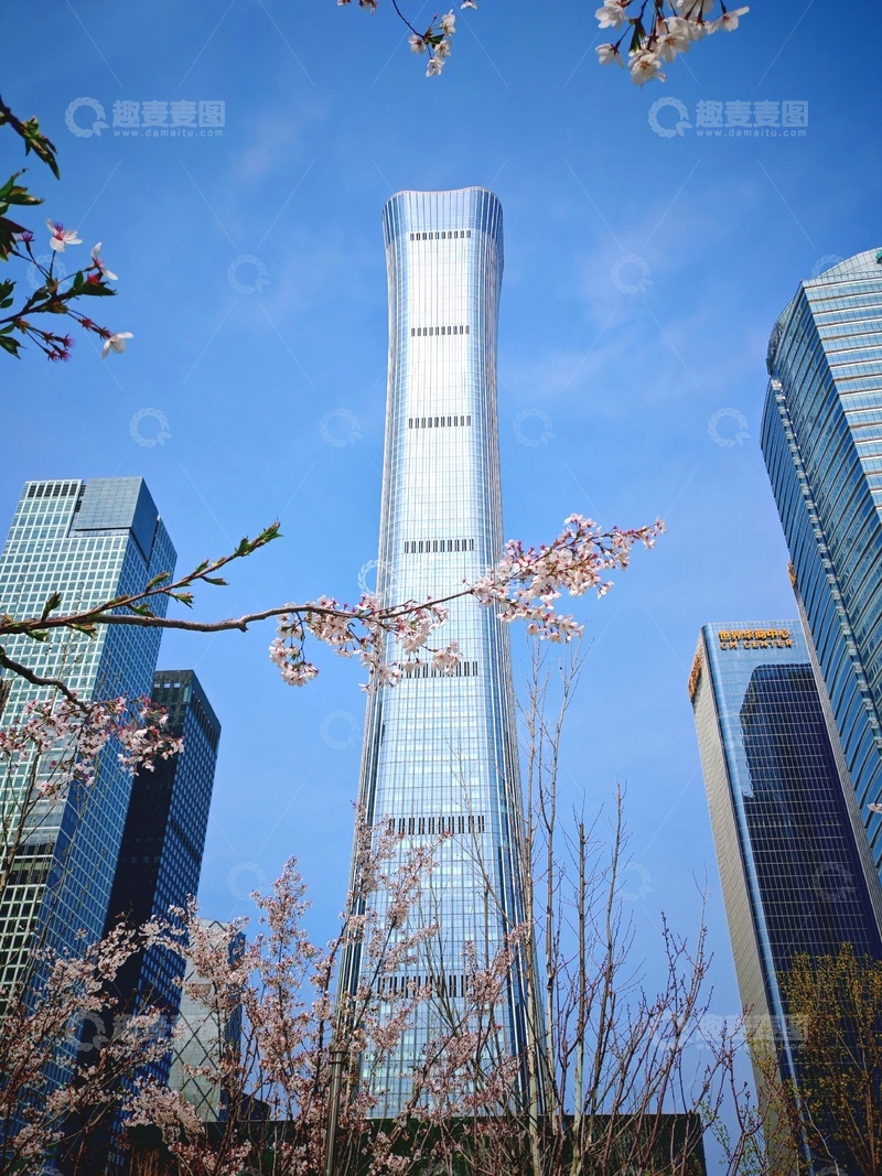 高清大图下载【趣麦麦图】现代都市樱花盛开