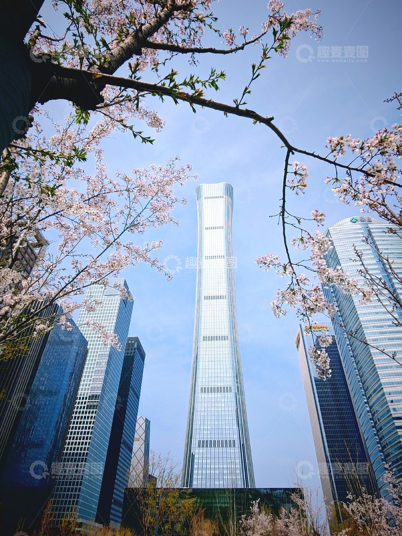 高清大图下载【趣麦麦图】-都市樱花现代高楼景观