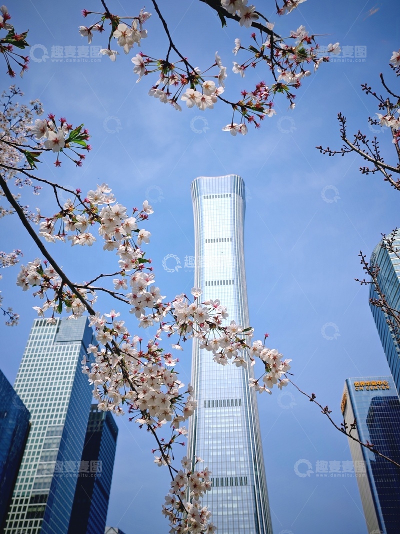 高清大图下载【趣麦麦图】春城高楼花景