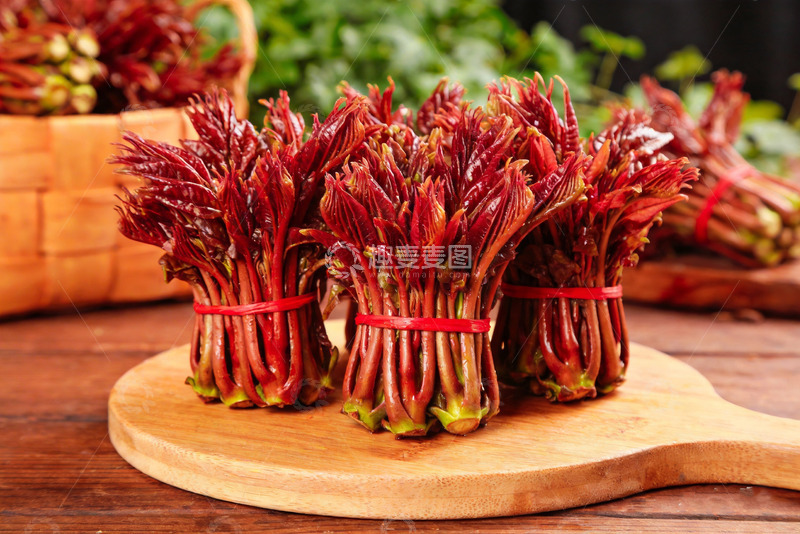 高清大图下载【趣麦麦图】香椿 红香椿 红油香椿7