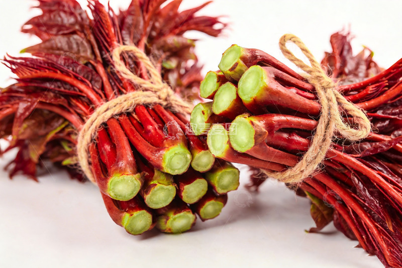 高清大图下载【趣麦麦图】香椿芽新鲜香椿8