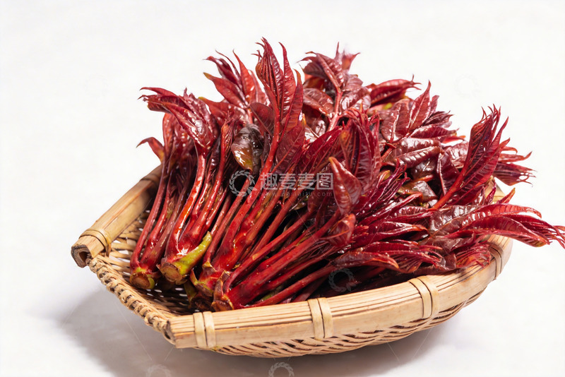 高清大图下载【趣麦麦图】香椿芽新鲜香椿2