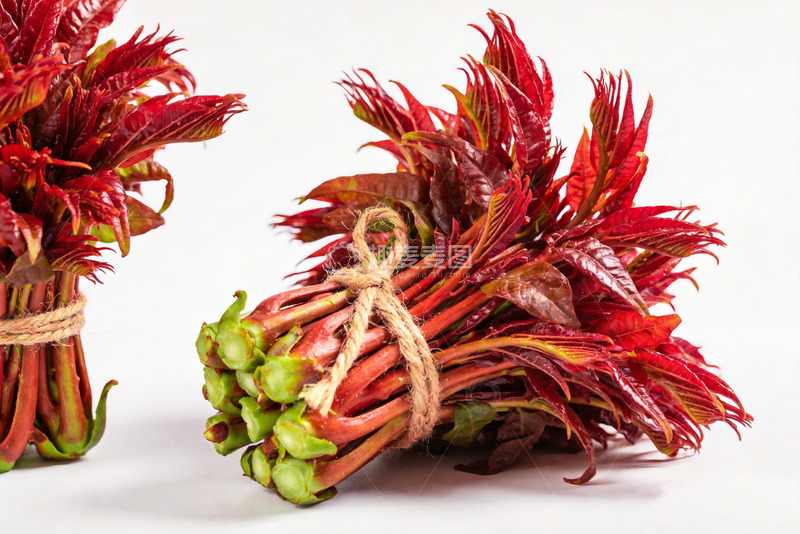 高清大图下载【趣麦麦图】香椿芽新鲜香椿4