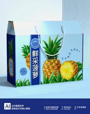 菠萝礼盒包装