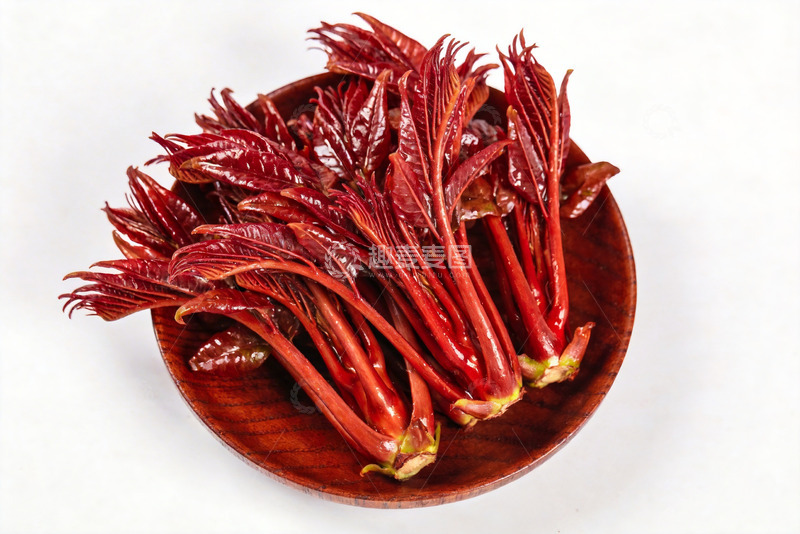 高清大图下载【趣麦麦图】香椿嫩芽新鲜香椿1