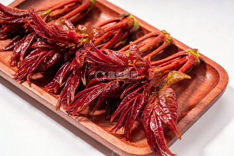 高清大图下载【趣麦麦图】香椿嫩芽新鲜香椿7