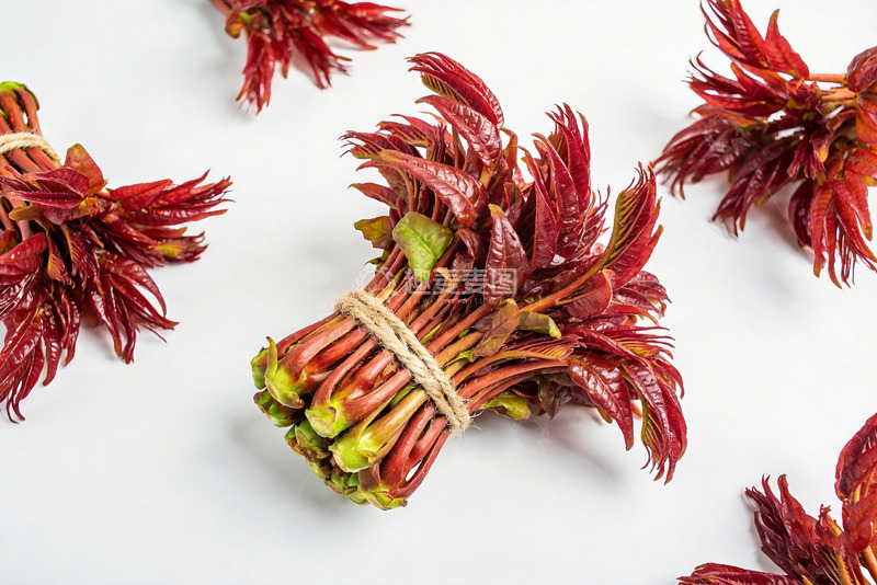 高清大图下载【趣麦麦图】香椿嫩芽新鲜香椿5