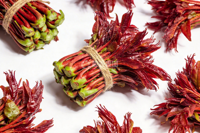 高清大图下载【趣麦麦图】香椿芽新鲜香椿10