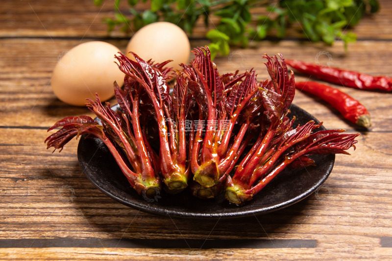 高清大图下载【趣麦麦图】香椿芽新鲜香椿12