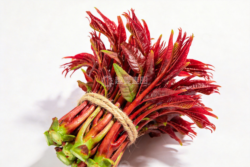 高清大图下载【趣麦麦图】香椿芽新鲜香椿9