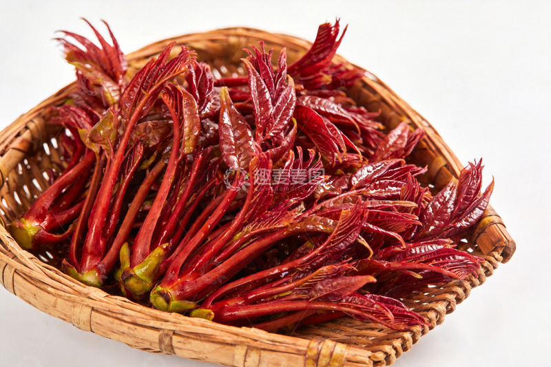 高清大图下载【趣麦麦图】香椿芽新鲜香椿7