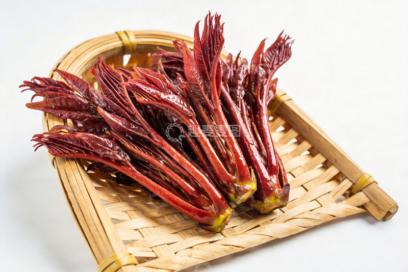 高清大图下载【趣麦麦图】香椿芽新鲜香椿3