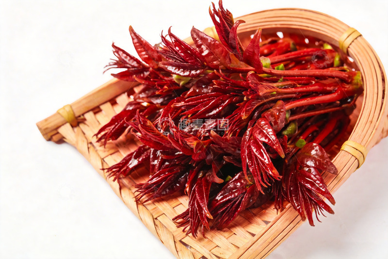 高清大图下载【趣麦麦图】香椿芽新鲜香椿