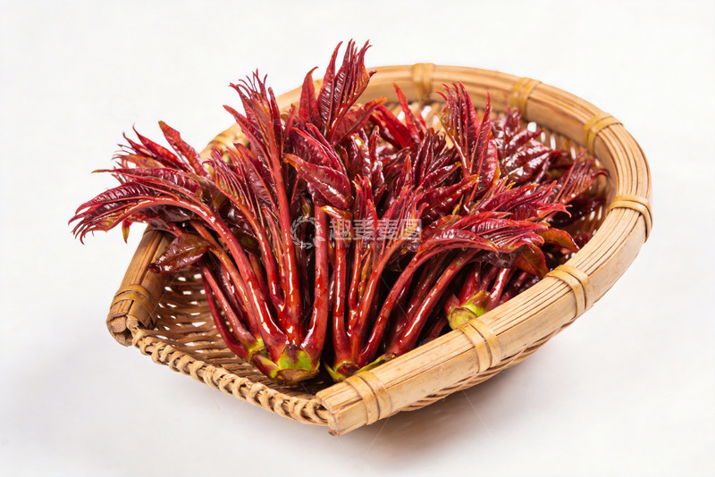 高清大图下载【趣麦麦图】香椿嫩芽新鲜香椿2