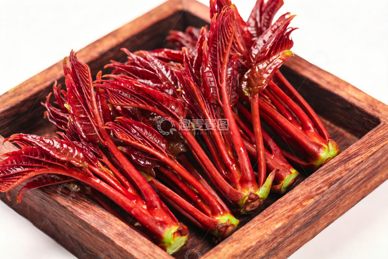 高清大图下载【趣麦麦图】香椿嫩芽新鲜香椿