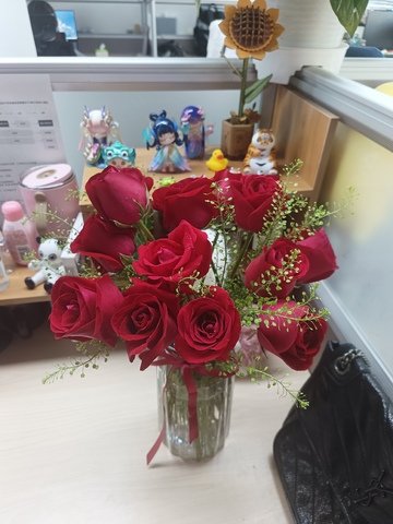 玫瑰花,鲜花,红玫瑰