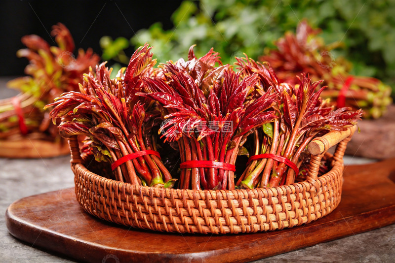 高清大图下载【趣麦麦图】香椿芽新鲜香椿18