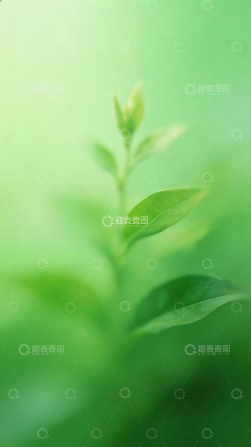 高清大图下载【趣麦麦图】清新绿植微距摄影图片