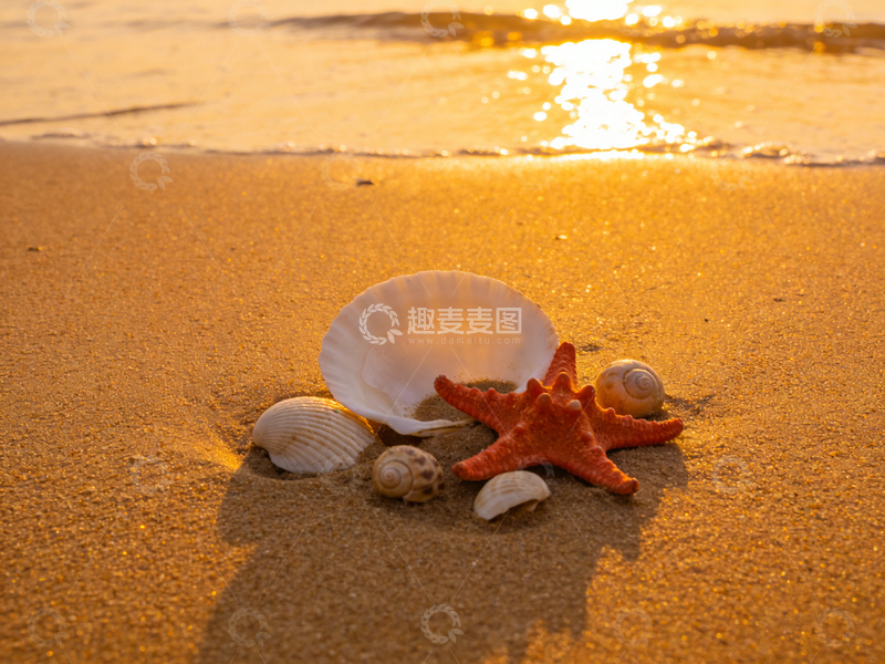 高清大图下载【趣麦麦图】海滩贝壳夕阳美景