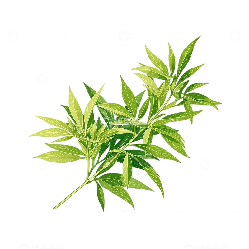 高清大图下载【趣麦麦图】艾草繁茂生机盎然