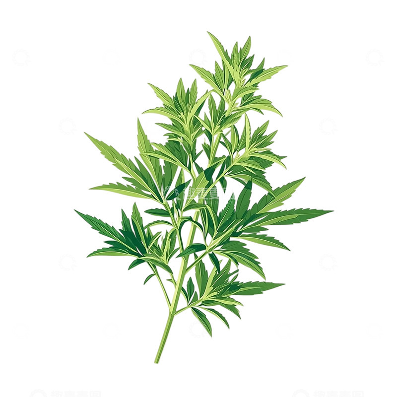 高清大图下载【趣麦麦图】禅意艾草繁茂自然之韵