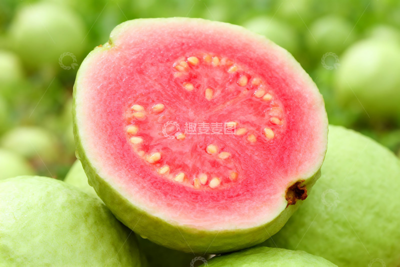 高清大图下载【趣麦麦图】红心番石榴摄影特写2