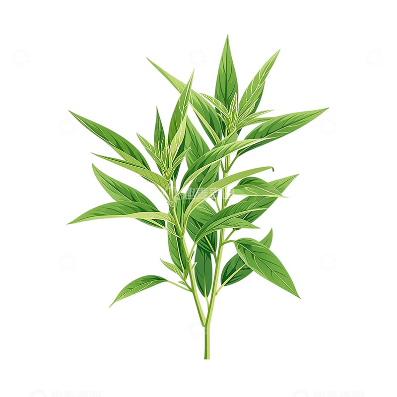 高清大图下载【趣麦麦图】苍翠如翡翠的艾草神韵