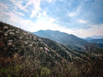 山间花海春光美景摄影图