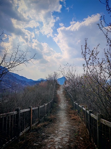 山间小道风光摄影