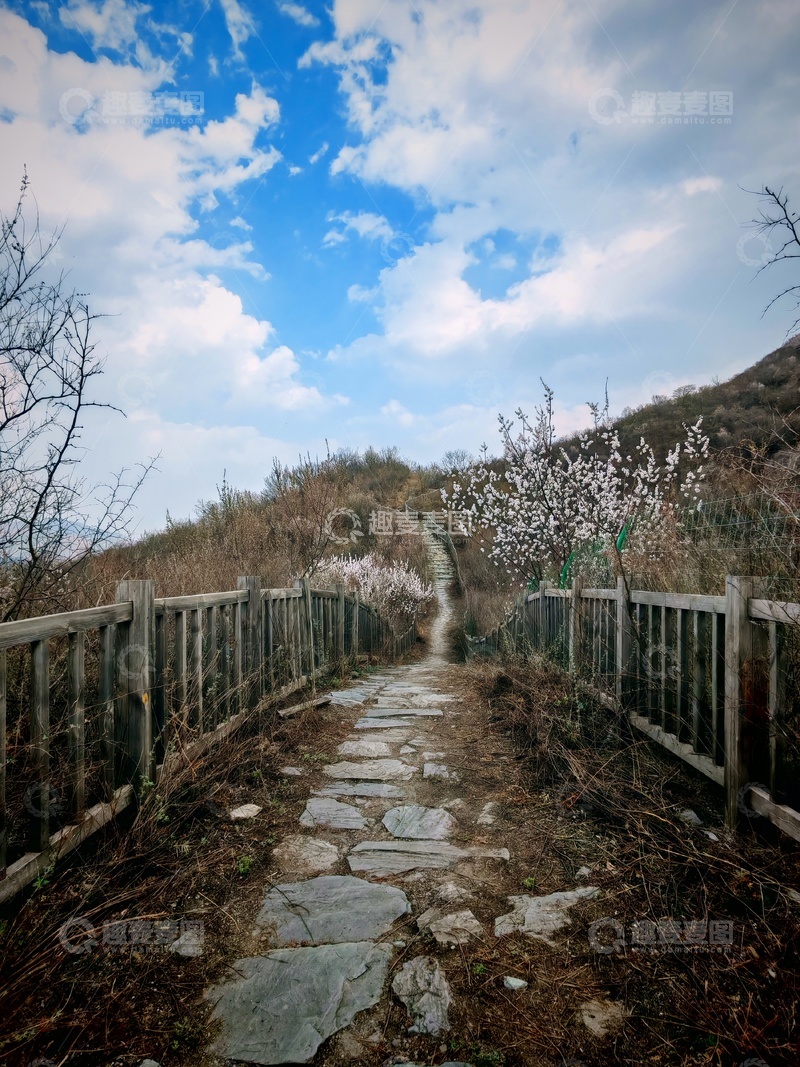 高清大图下载【趣麦麦图】石板桥早春花开自然风光摄影图片