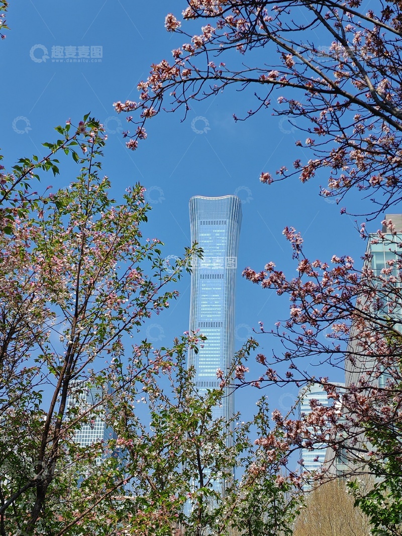 高清大图下载【趣麦麦图】春日高楼花景