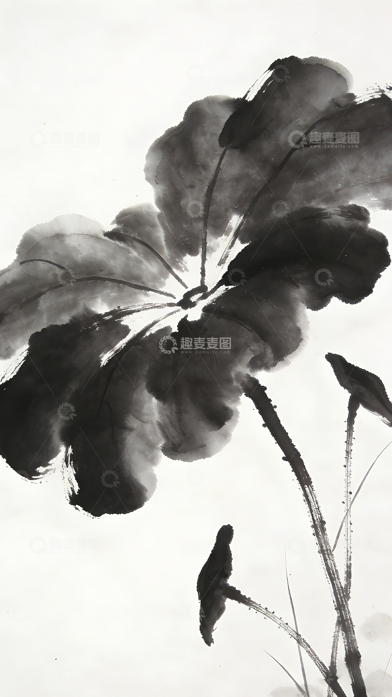 高清大图下载【趣麦麦图】水墨荷花国画艺术