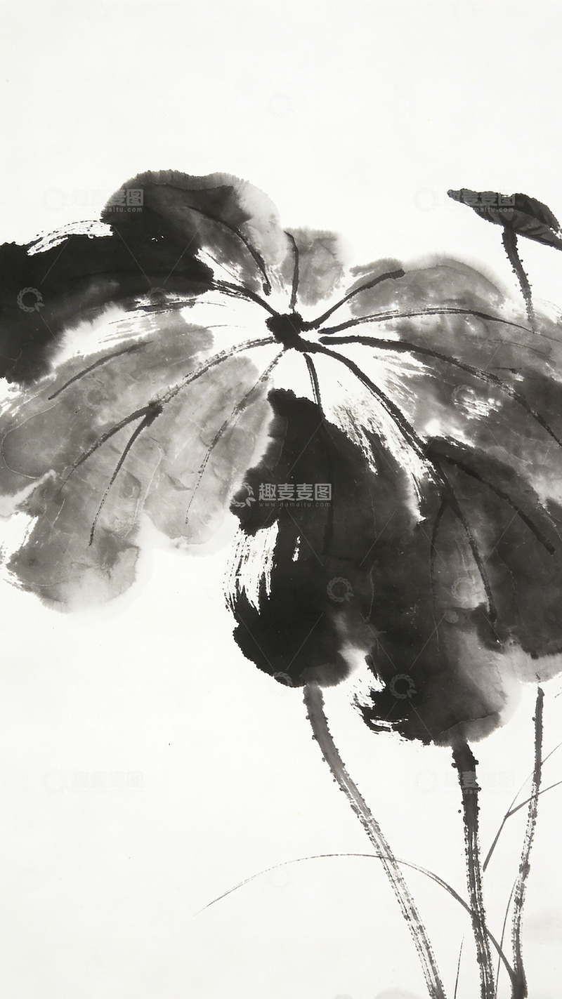 高清大图下载【趣麦麦图】水墨荷叶国画艺术画作