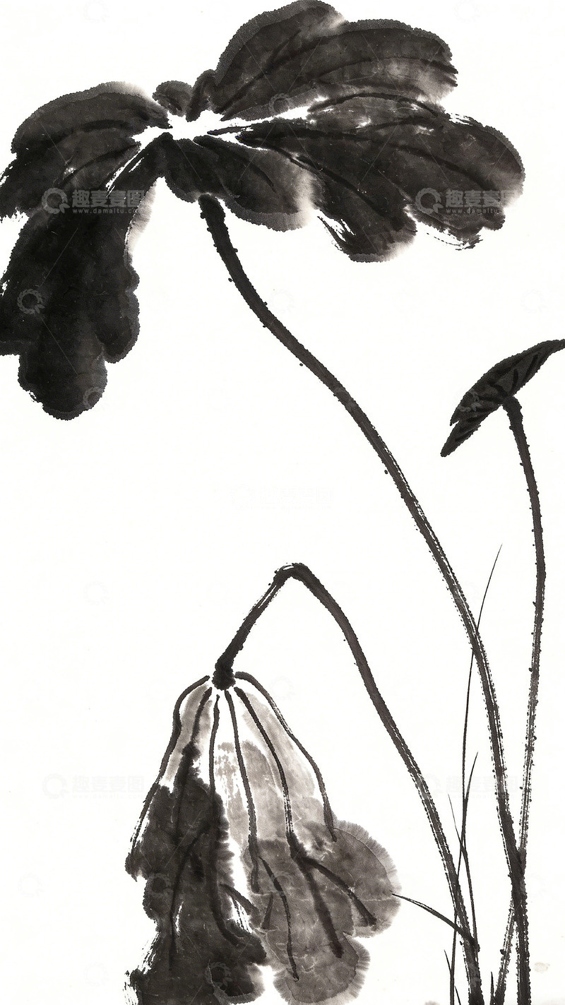 高清大图下载【趣麦麦图】水墨荷花国画写意绘画素材