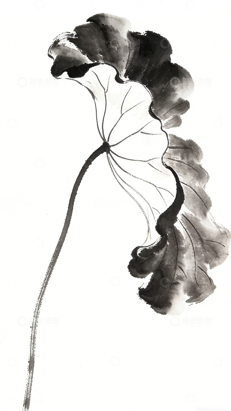 高清大图下载【趣麦麦图】水墨荷花叶国画艺术