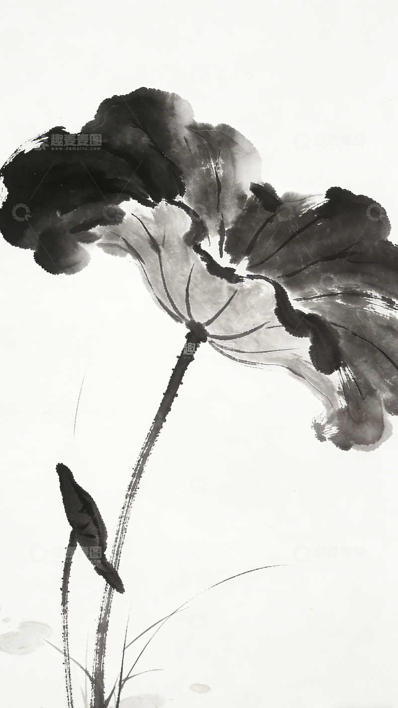 高清大图下载【趣麦麦图】水墨荷花写意国画