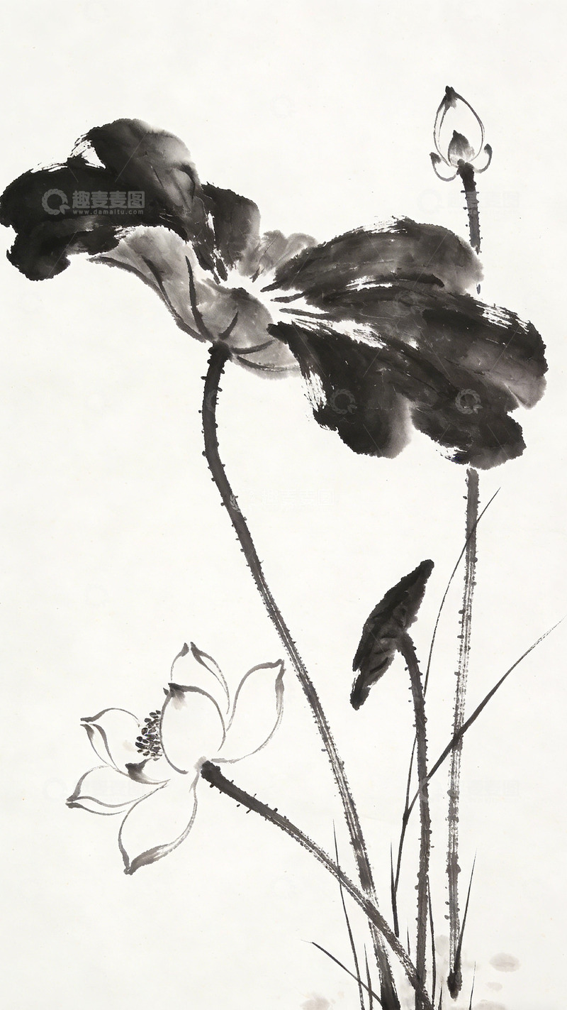 高清大图下载【趣麦麦图】水墨荷花国画艺术画作