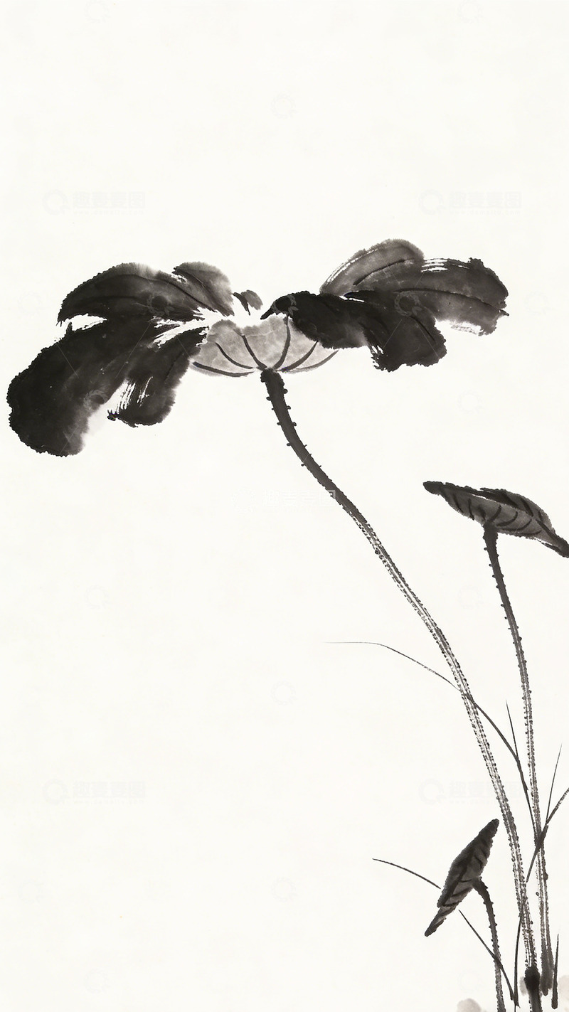 高清大图下载【趣麦麦图】水墨荷花国画写意装饰画