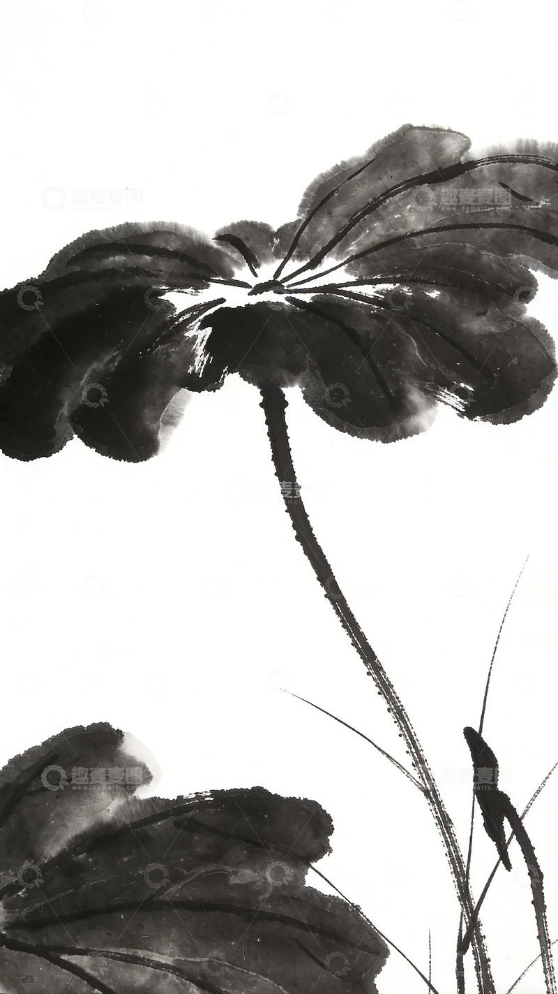 高清大图下载【趣麦麦图】水墨荷花鸟趣图