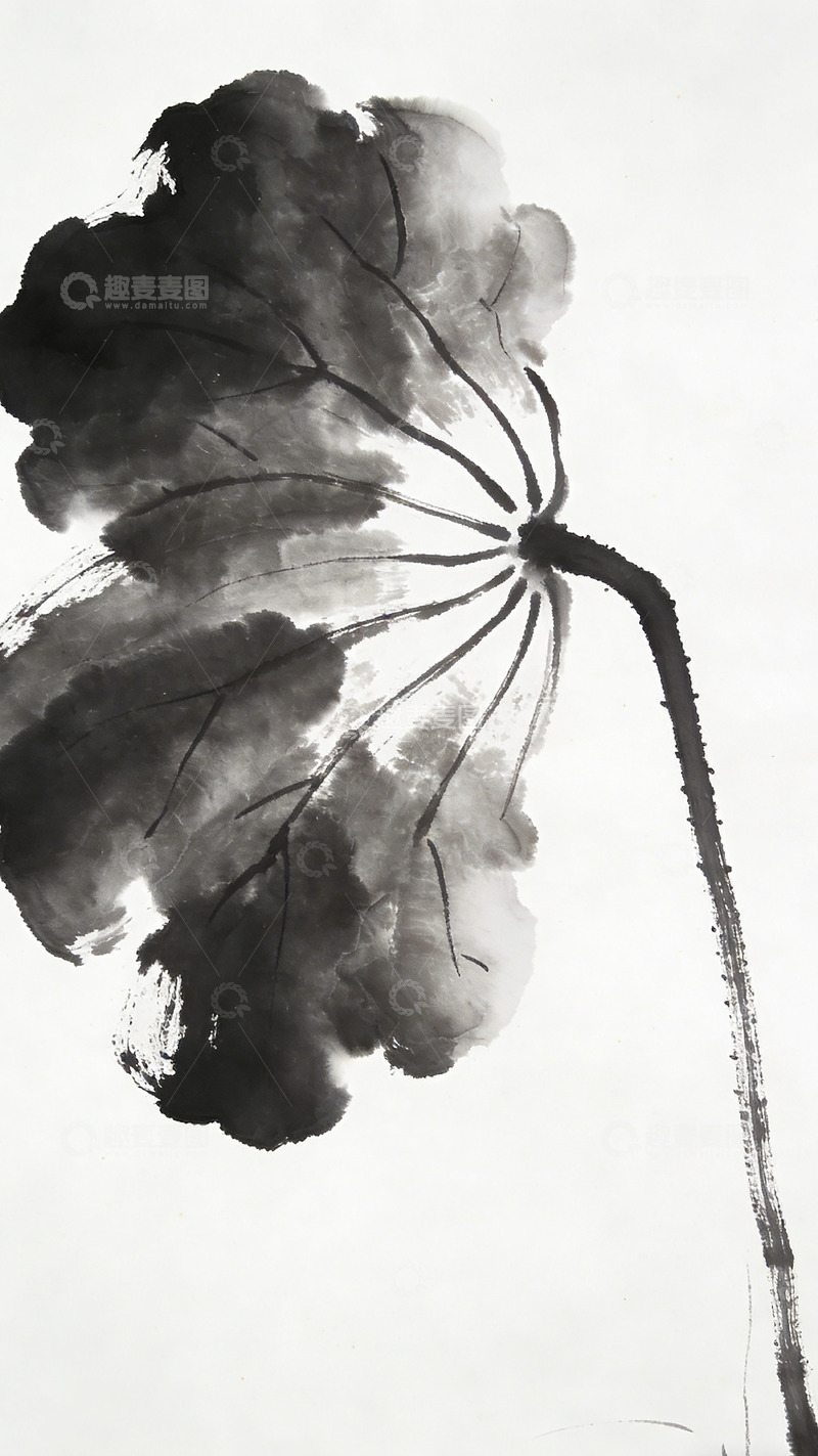 高清大图下载【趣麦麦图】水墨荷花写意国画