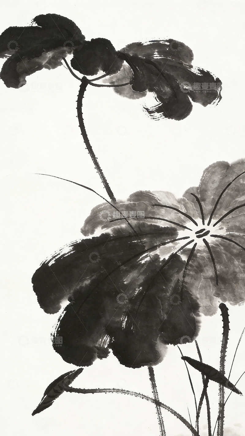 高清大图下载【趣麦麦图】水墨荷花中国画写意画素材