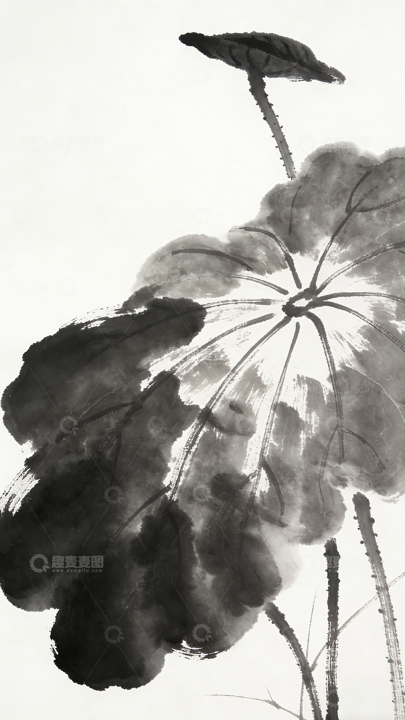 高清大图下载【趣麦麦图】水墨荷花中国画写意艺术画作