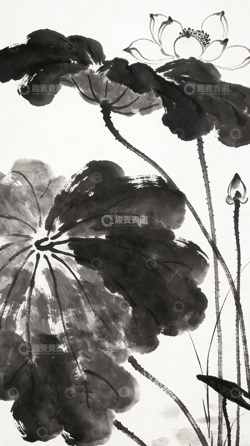 高清大图下载【趣麦麦图】水墨荷花国画写意绘画作品