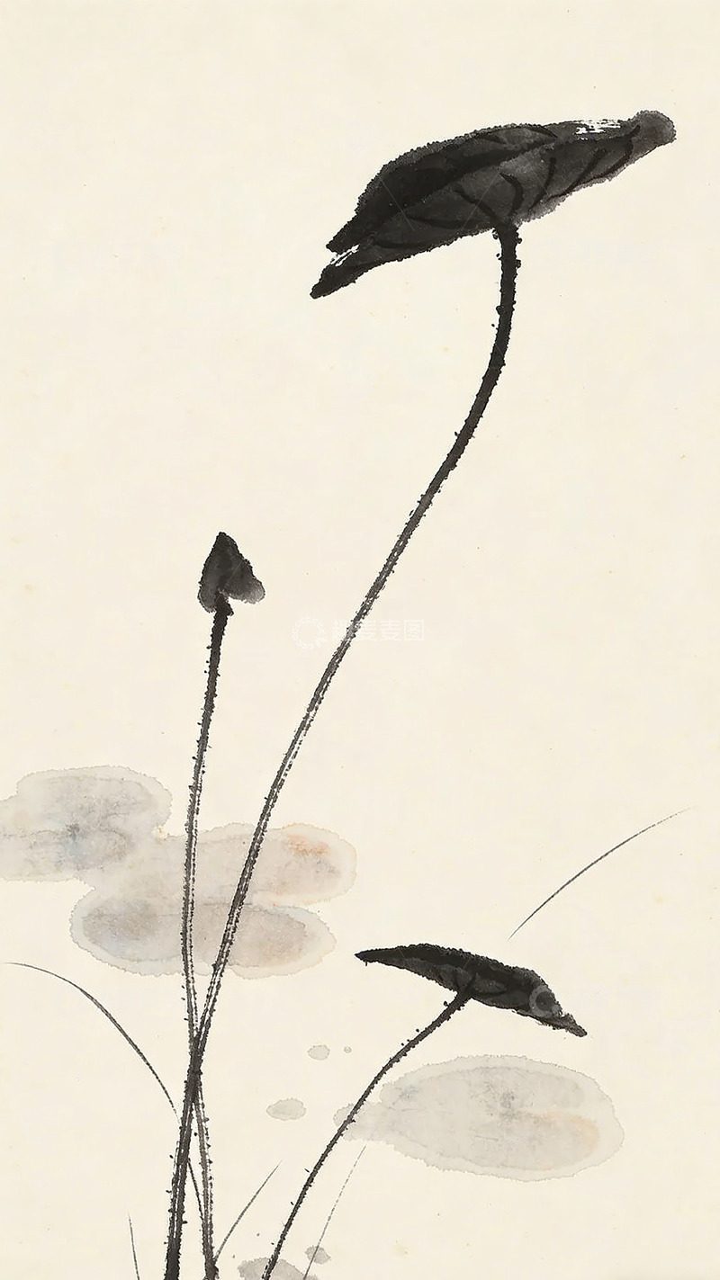 高清大图下载【趣麦麦图】水墨荷花中国画水墨画
