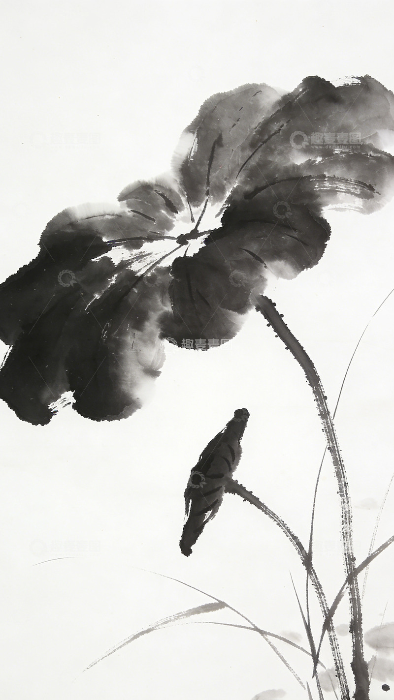 高清大图下载【趣麦麦图】水墨荷叶国画艺术欣赏